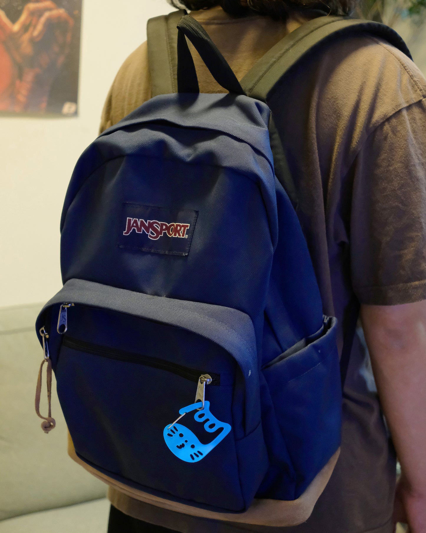 A Carabiner (Random Pick)