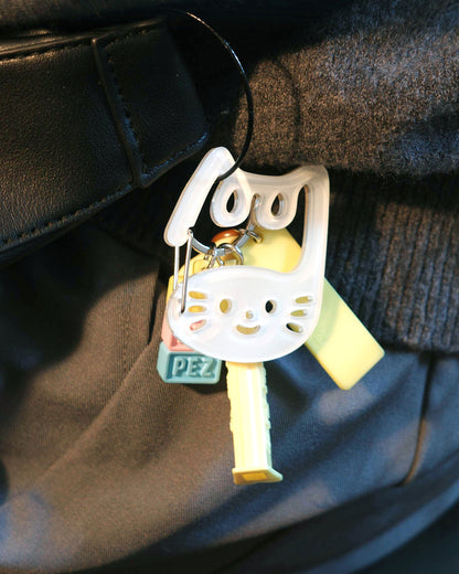 A Carabiner (Random Pick)